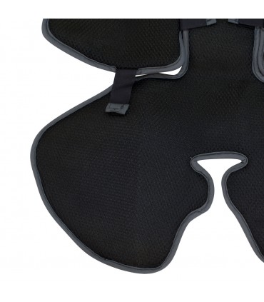 Vista trasera Winter Sky