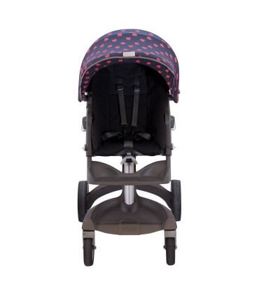 Vista general Fluor Heart