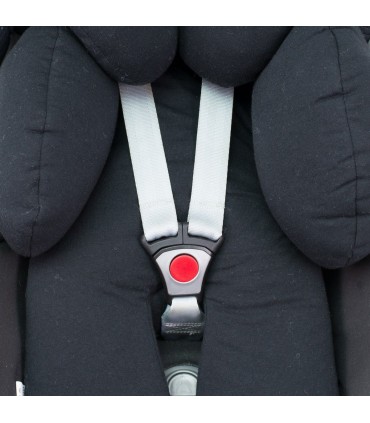 Reductor silla coche - Correas de seguridad Black Series