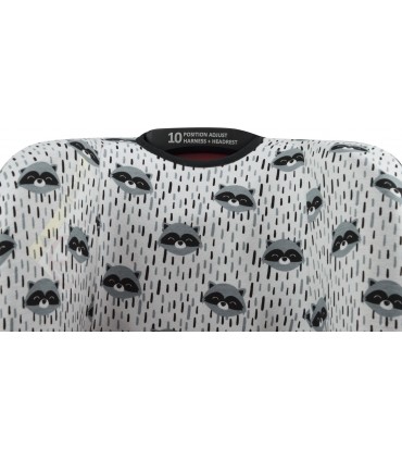 Detalle cabezal Racoon Town