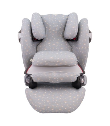 Cybex Pallas M-Fix y S-Fix - Vista frontal Romarey