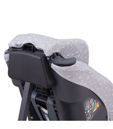 Vista trasera Romarey