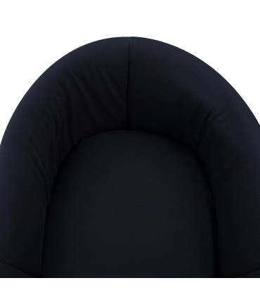 Interior Black Series