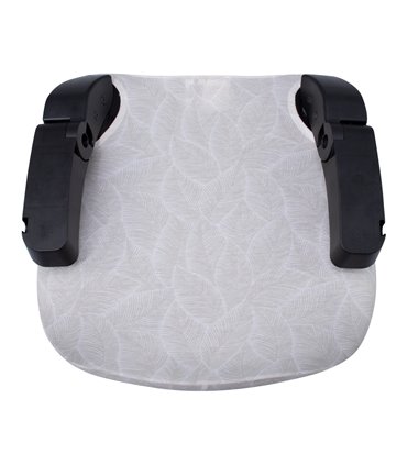 Vista superior Bloom