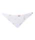 Babero bandana - Frontal desplegada Dragon Fly