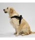 Arnes de Perro Anatomico y Ajustable Village  - 6