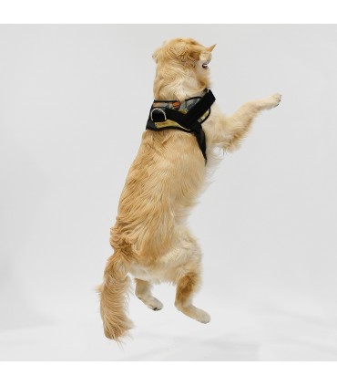 Arnes de Perro Anatomico y Ajustable Exotic Couture  - 1