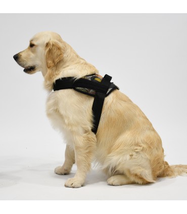 Arnes de Perro Anatomico y Ajustable Exotic Couture  - 3