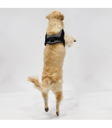 Arnes de Perro Anatomico y Ajustable Ethnic Blue  - 1