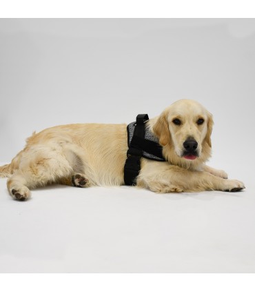 Arnes de Perro Anatomico y Ajustable Ethnic Blue  - 4