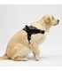 Arnes de Perro Anatomico y Ajustable Brooklyn  - 5