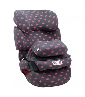 Cybex Pallas Fix - Vista 3/4 Fluor Heart