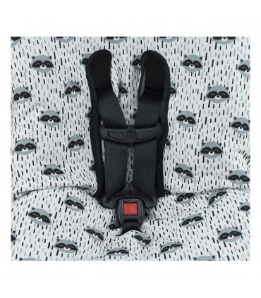 Primer plano Racoon Town