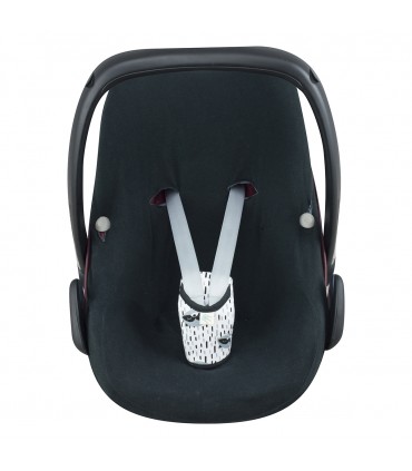 vista frontal Racoon Town