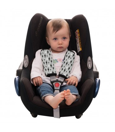 arneses - Demo Frontal Black rayo