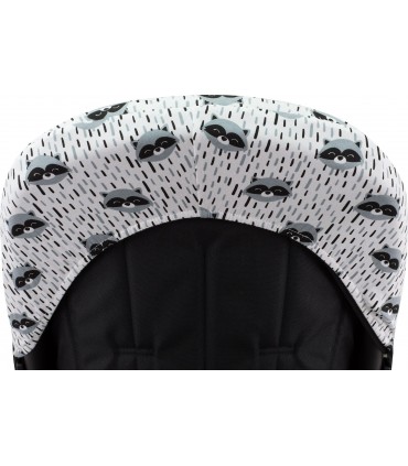 Vista trasera Racoon Town