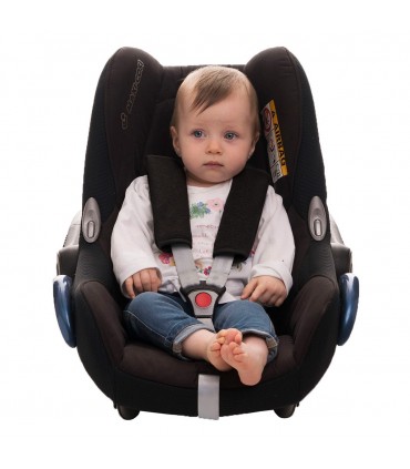 arneses - Demo Frontal Black series