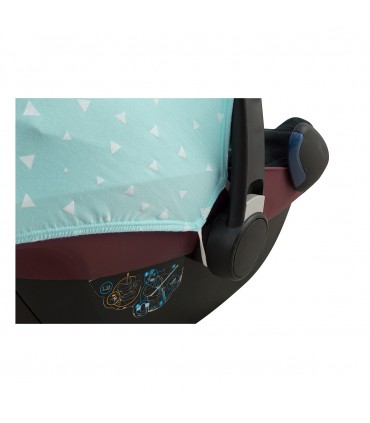 Primer plano Mint Sparkles