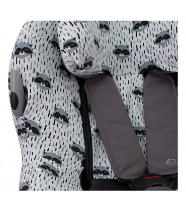 Detalle ojal Racoon Town