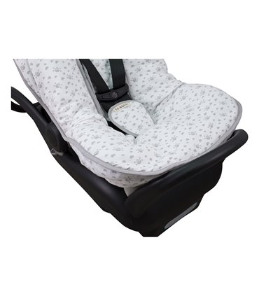 Parte inferior Grey Skull