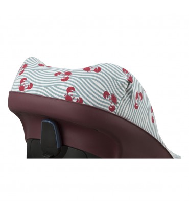 vista 3/4 superior Crabby